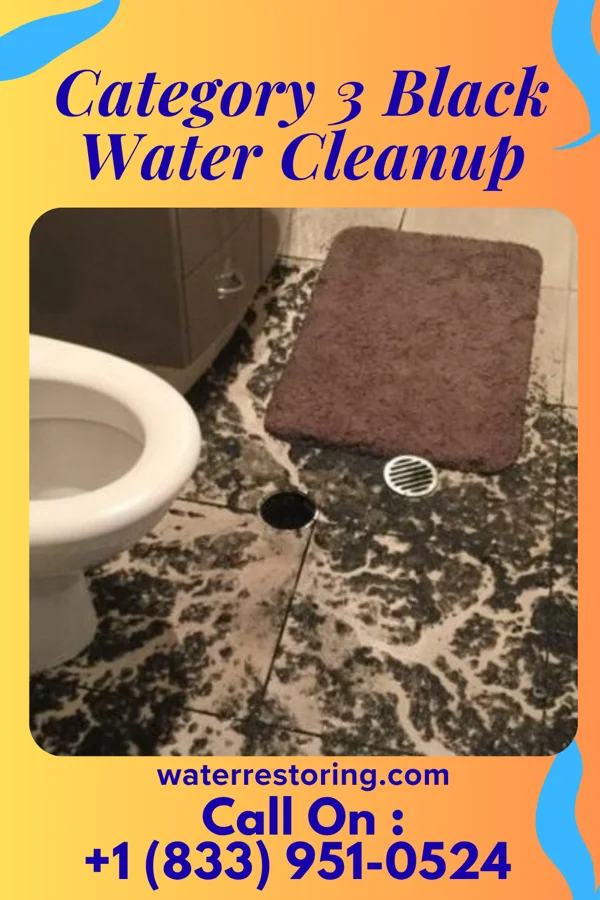 Category 3 Black Water Cleanup in South Range, MI