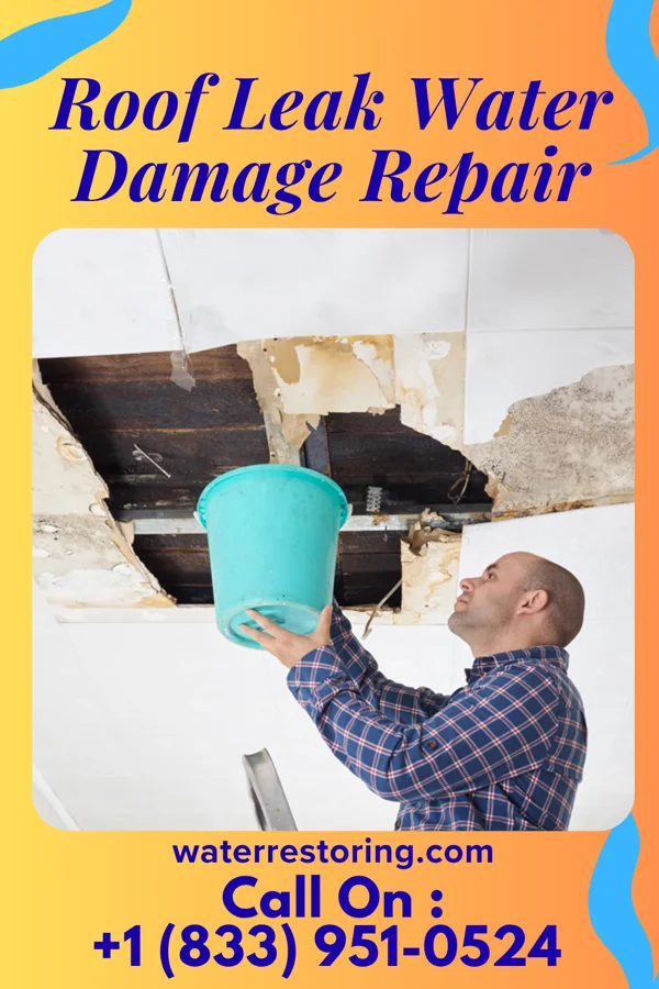 Roof Leak Water Damage Repair in South Range, MI