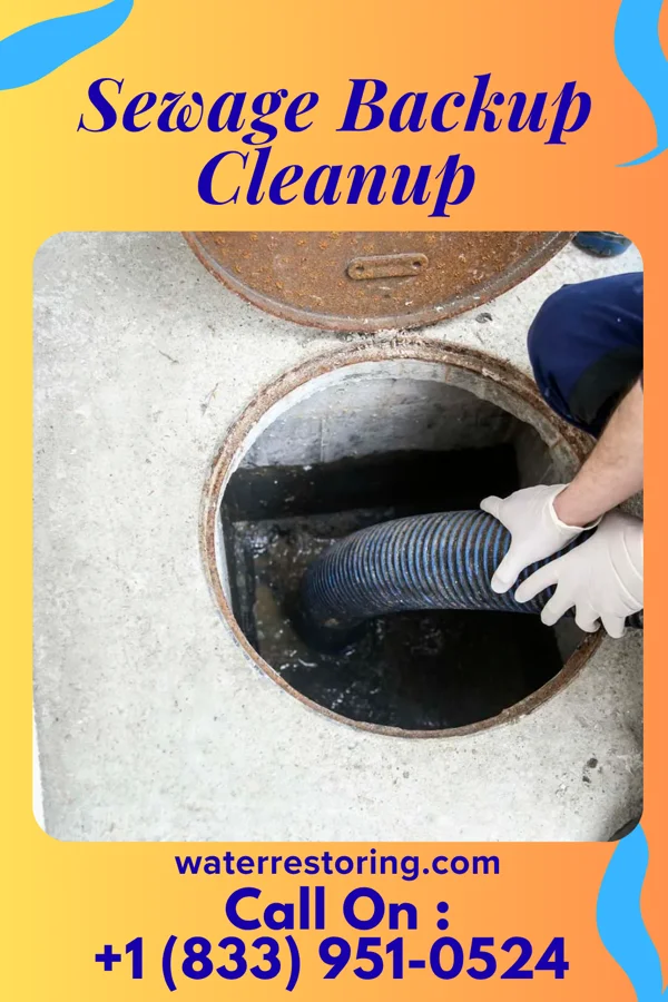 Sewage Backup Cleanup in South Range, MI