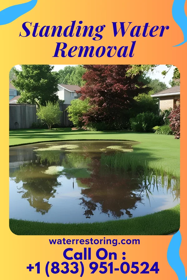 Standing Water Removal in South Range, MI
